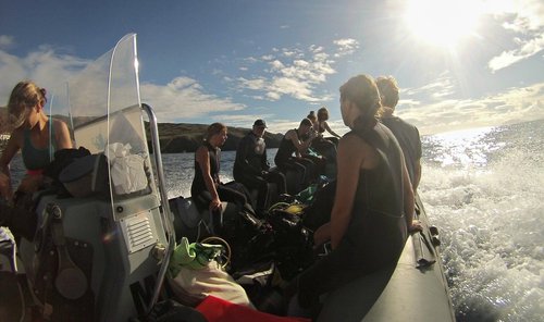 photo rib moteur