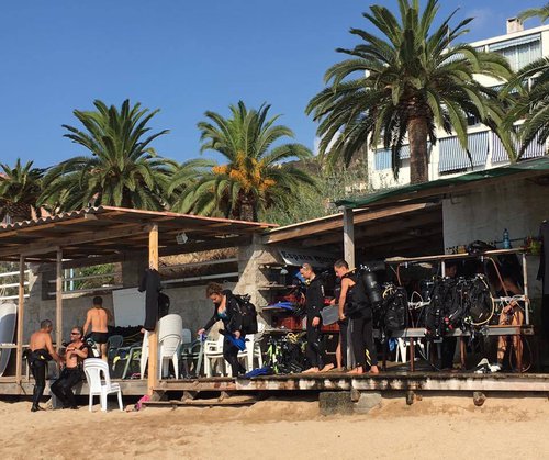 photo D'avril à octobre, le centre, situé sur la plage, vous ...