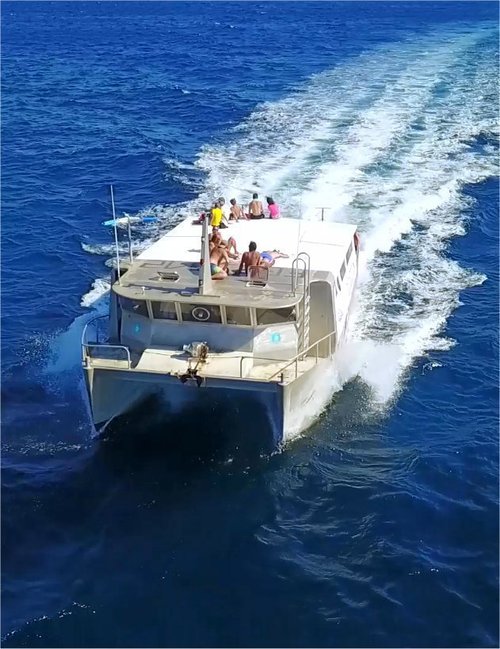 photo catamaran moteur